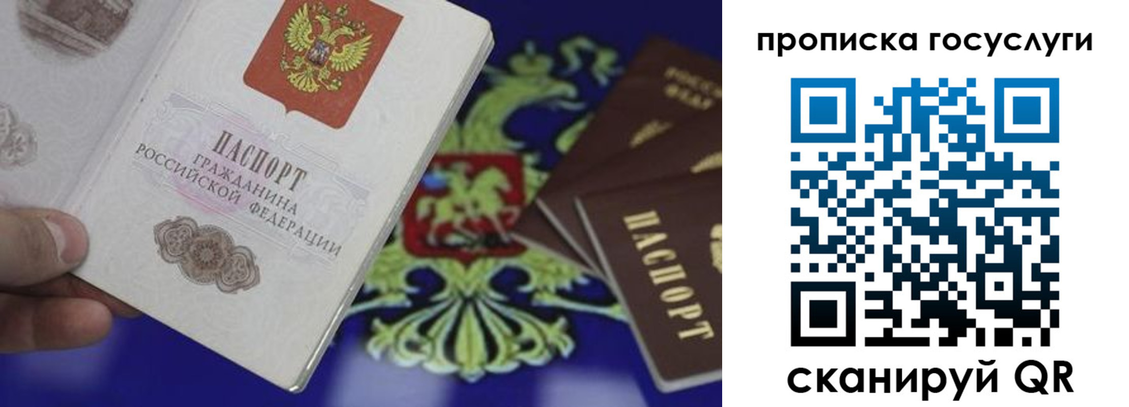 прописка для школы в Майкопе